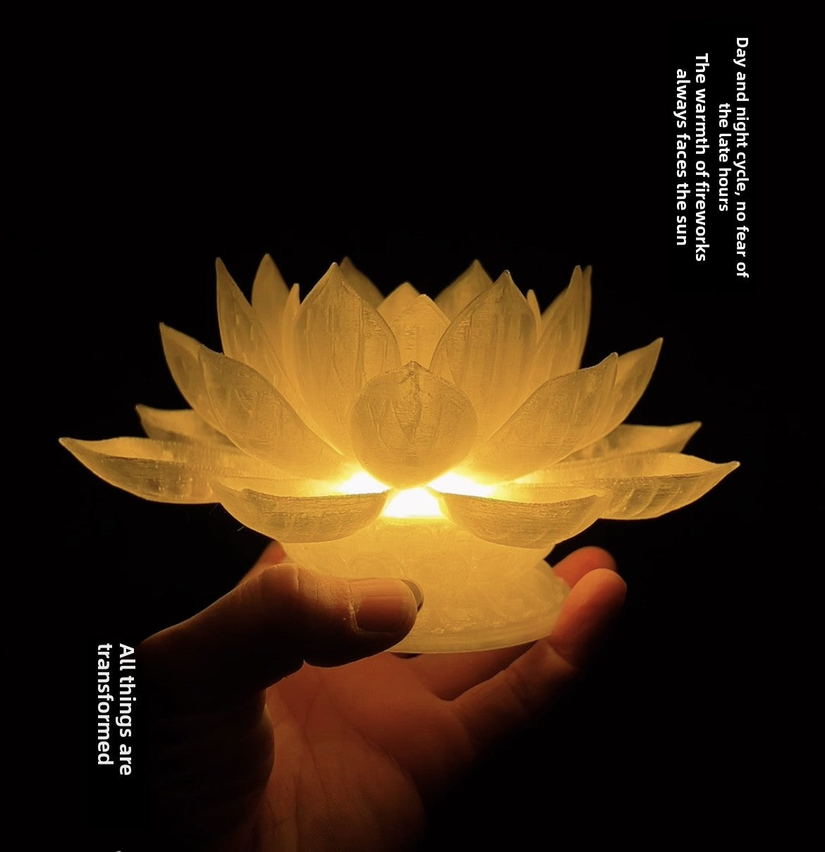 Decorative LED Lotus Lamp with Dual Lighting