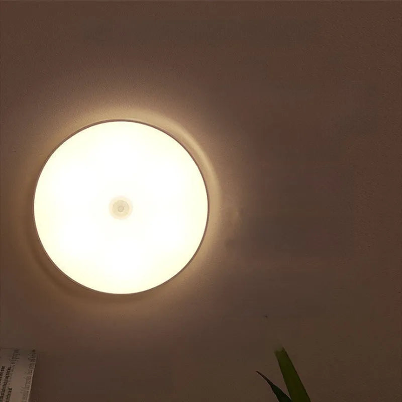LED cabinet light