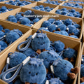 Plush keychain