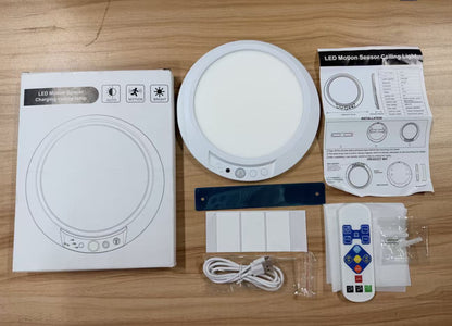 motion sensor light