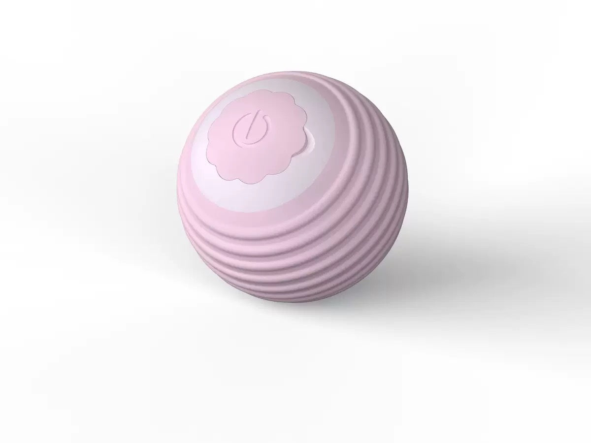 Interactive Cat Toy Ball with Bird Sounds