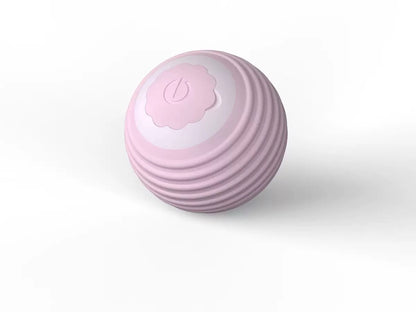 Interactive Cat Toy Ball with Bird Sounds