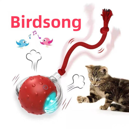 Interactive Cat Toy Ball with Bird Sounds
