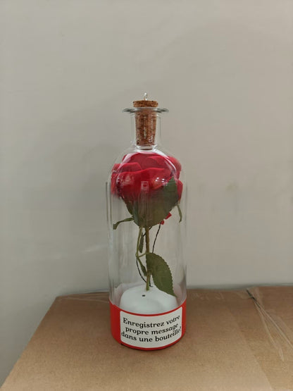 Christmas Tree Message Recording Bottle