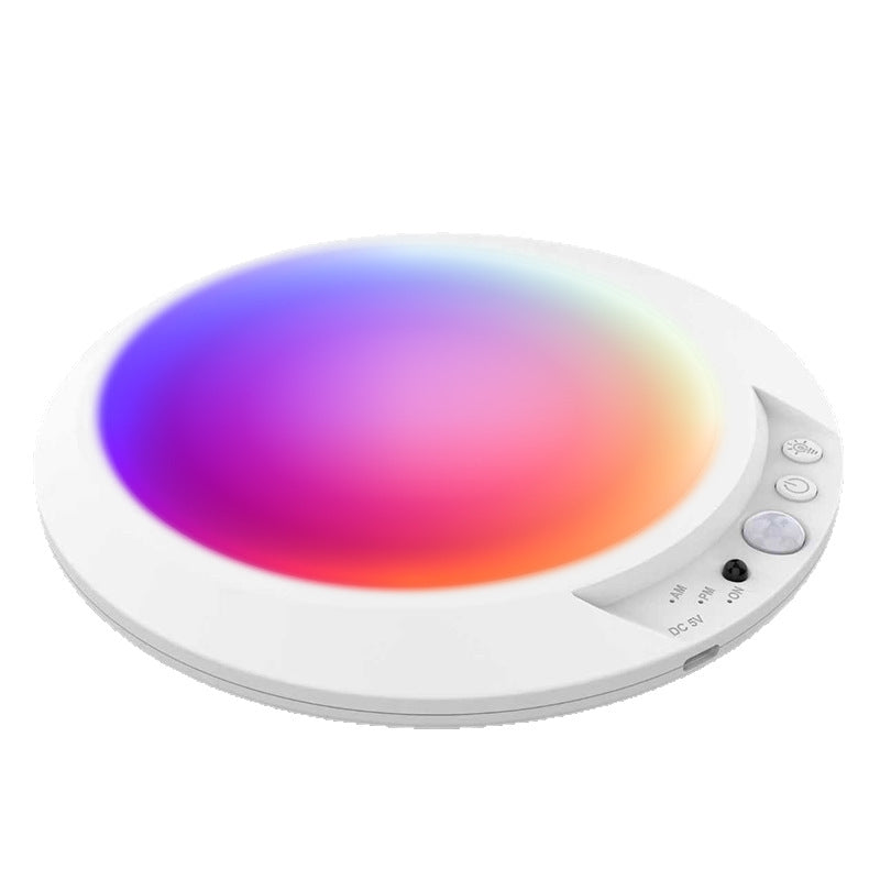 motion sensor light
