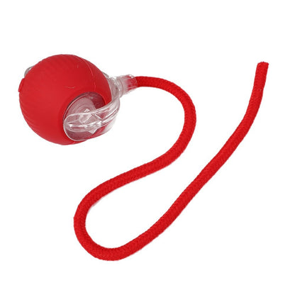 Interactive Cat Toy Ball with Bird Sounds