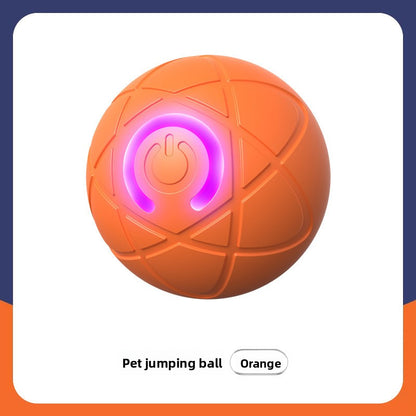 Interactive Cat Toy Ball with Bird Sounds