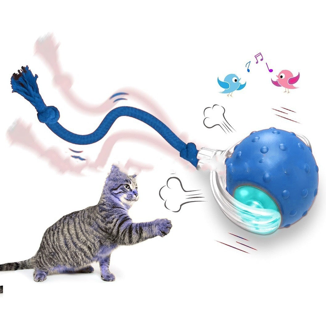 Interactive Cat Toy Ball with Bird Sounds