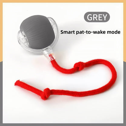Interactive Cat Toy Ball with Bird Sounds
