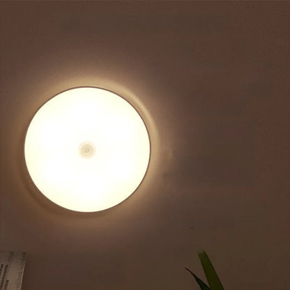 LED cabinet light