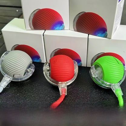 Interactive Cat Toy Ball with Bird Sounds