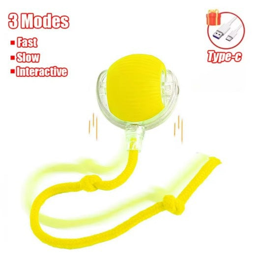 Interactive Cat Toy Ball with Bird Sounds