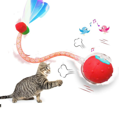 Interactive Cat Toy Ball with Bird Sounds