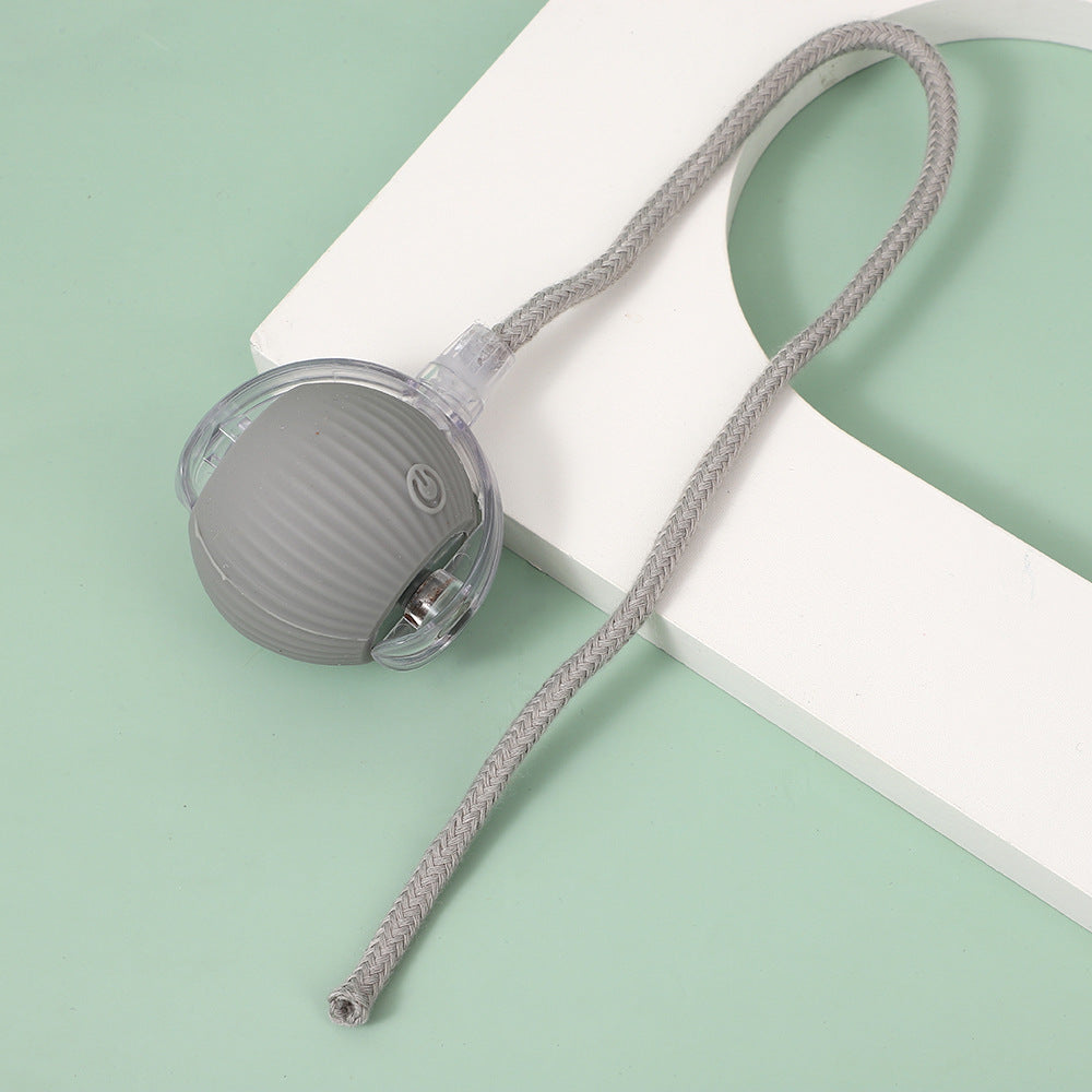 Interactive Cat Toy Ball with Bird Sounds