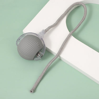 Interactive Cat Toy Ball with Bird Sounds