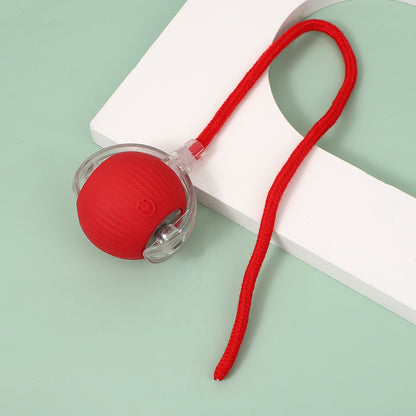 Interactive Cat Toy Ball with Bird Sounds
