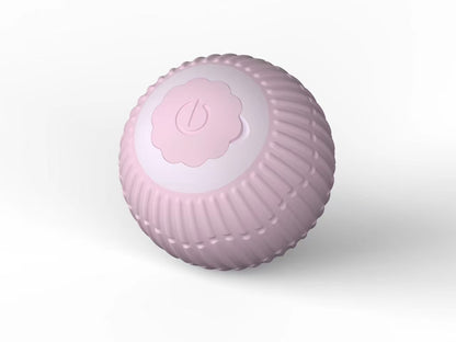 Interactive Cat Toy Ball with Bird Sounds