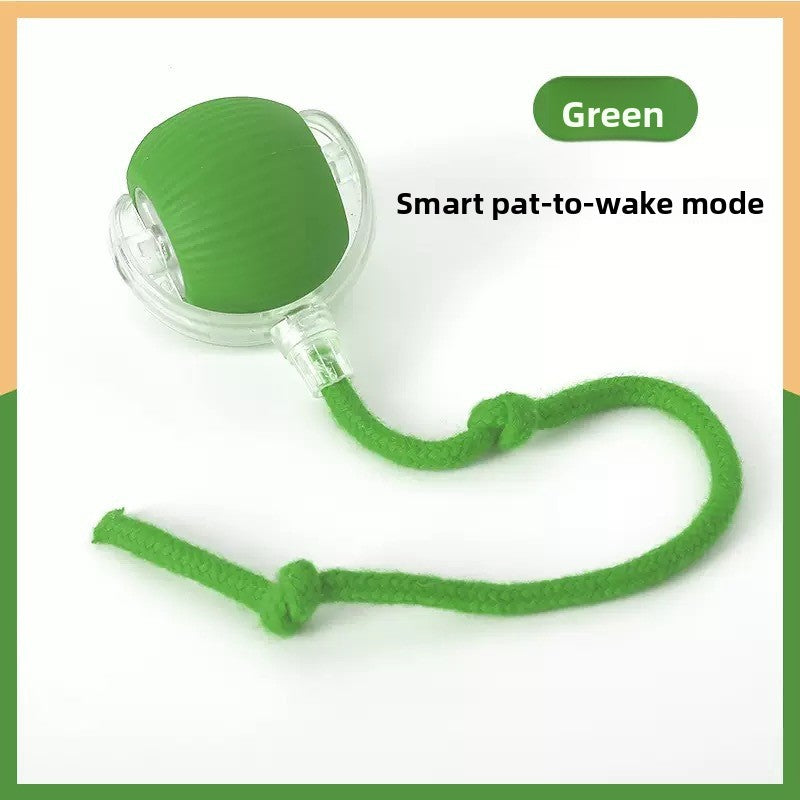 Interactive Cat Toy Ball with Bird Sounds
