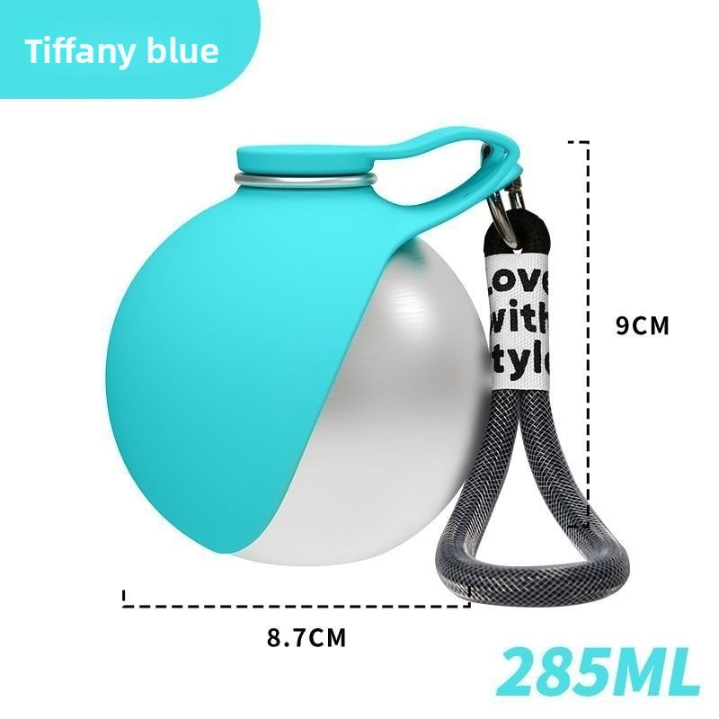 Portable water bottle