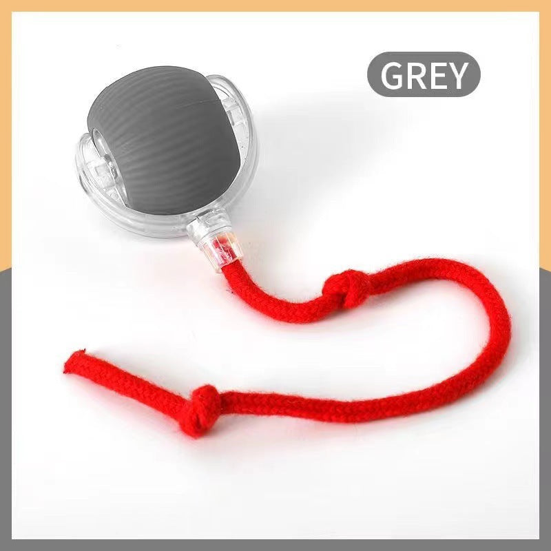 Interactive Cat Toy Ball with Bird Sounds