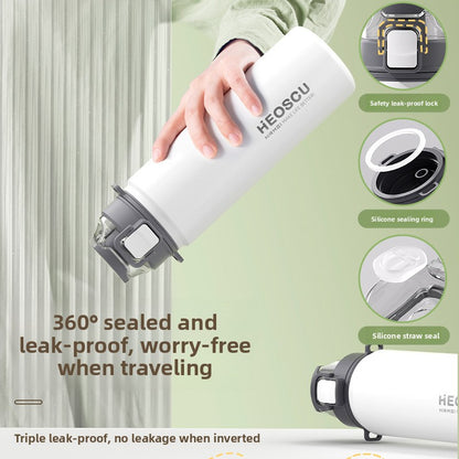 Stainless Steel Insulated Water Bottle with Straw