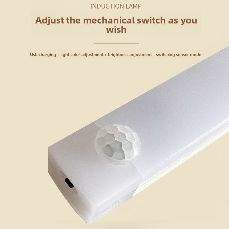 LED cabinet light