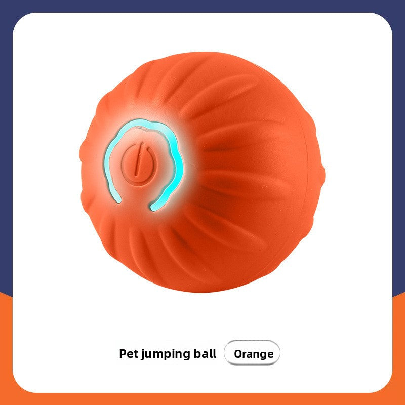 Interactive Cat Toy Ball with Bird Sounds