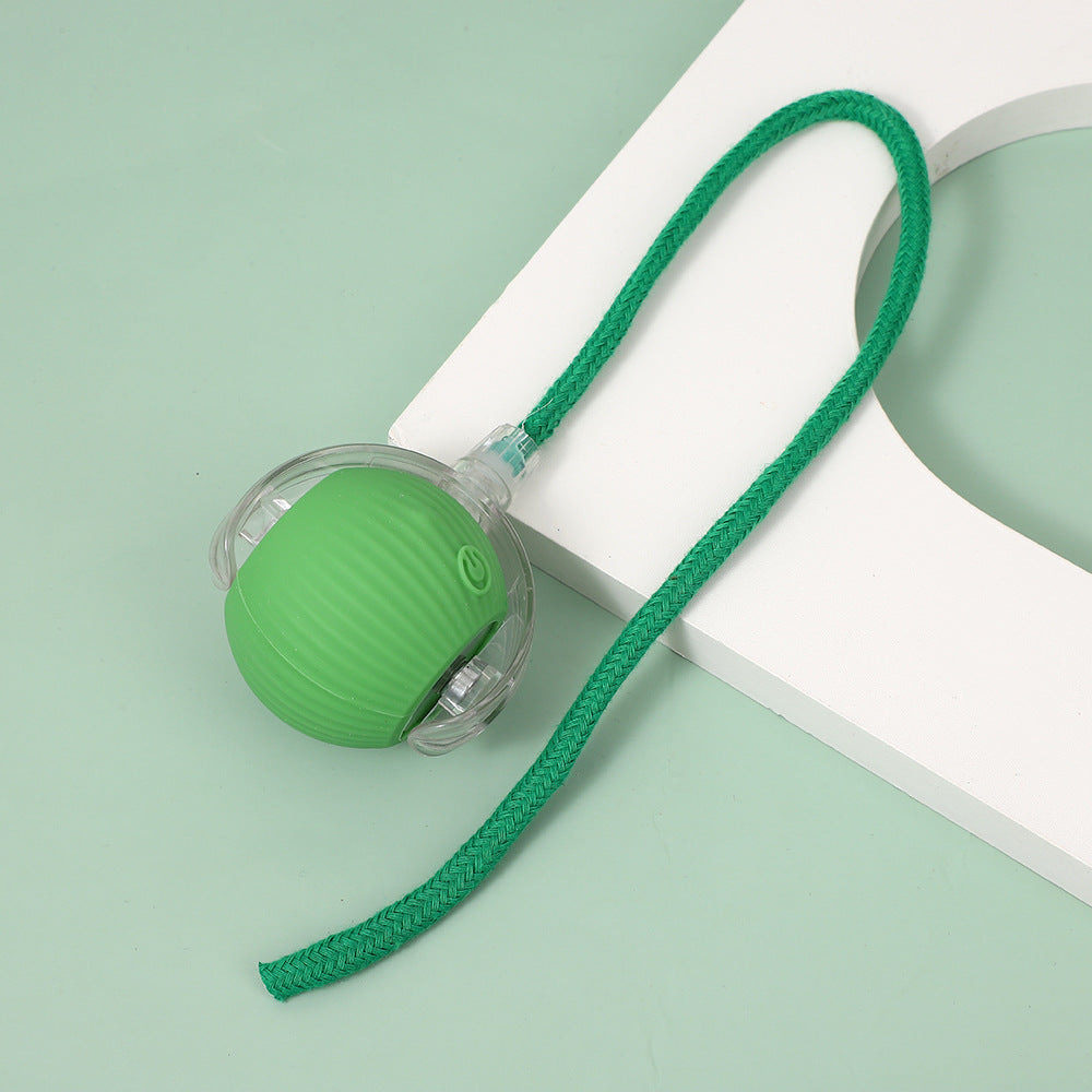 Interactive Cat Toy Ball with Bird Sounds