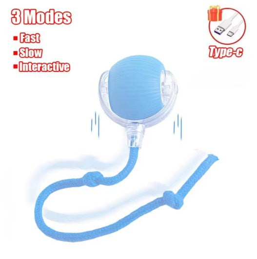 Interactive Cat Toy Ball with Bird Sounds