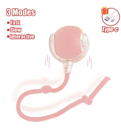 Interactive Cat Toy Ball with Bird Sounds