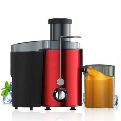 Stainless Steel Electric Juicer Blender