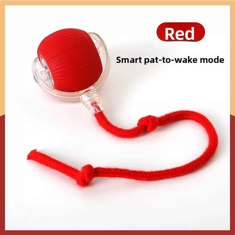 Interactive Cat Toy Ball with Bird Sounds