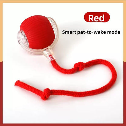 Interactive Cat Toy Ball with Bird Sounds
