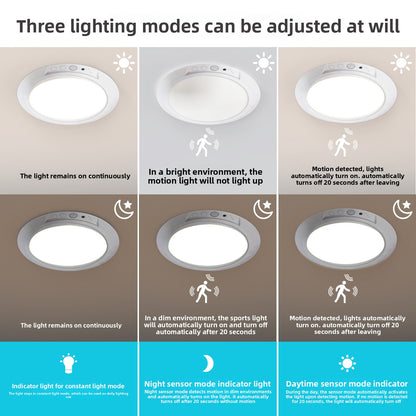 Wireless Sensor Ceiling Light with Remote Control