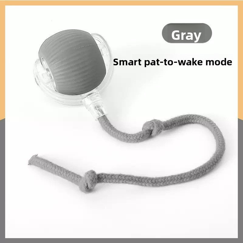 Interactive Cat Toy Ball with Bird Sounds