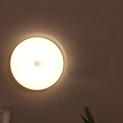 LED cabinet light